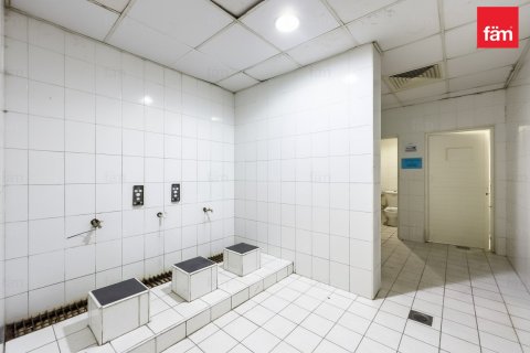 3290.7مربع، Properties  رقم 123357 8