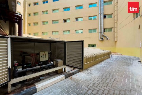 3290.7مربع، Properties  رقم 123357 21