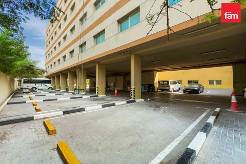 3290.7مربع، Properties  رقم 123357 24