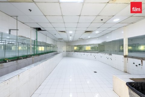 3290.7مربع، Properties  رقم 123357 11