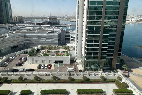 1 غرف نوم شقة في جزيرة الريم, الإمارات العربية المتحدة رقم 89887 14