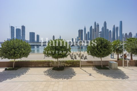 3 غرف نوم تاون هاوس في Dubai Harbour, الإمارات العربية المتحدة رقم 141879 26