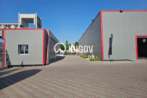 3716.12m² Warehouse in Al Quoz, UAE No. 184965 6