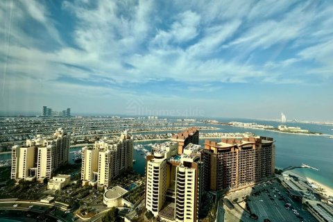 49مربع، شقة في The Palm Tower, الإمارات العربية المتحدة رقم 146473 12