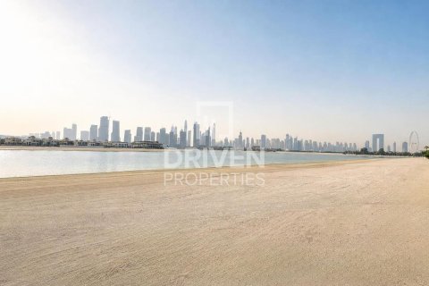 Land de 2523.06m² à Palm Jumeirah, UAE No. 206496 5