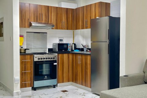 Studio Apartment in Al Hamra Village, UAE No. 133792 7