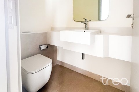 Villa de 3 dormitorios en The Valley, UAE No. 203954 9