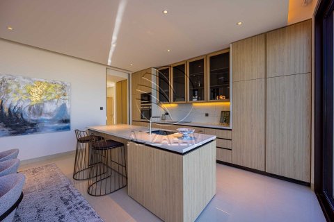 4 bedrooms Villa on the Saadiyat Island, UAE No. 168005 3