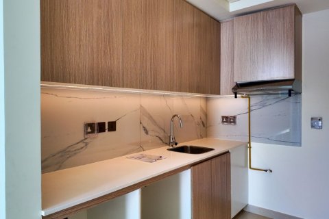 Appartement de 33m² à Ras Al Khaimah, UAE No. 184064 12