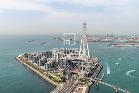4 غرف نوم شقة في مرسى دبي, الإمارات العربية المتحدة رقم 84064 27