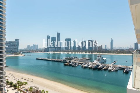 2 bedrooms Apartment in Dubai Harbour, UAE No. 164507 11