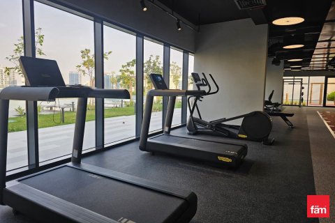 Квартира с 1 спальней в Majan, ОАЭ №146202 15