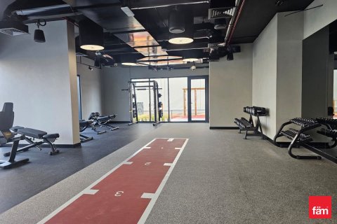 Квартира с 1 спальней в Majan, ОАЭ №146202 16