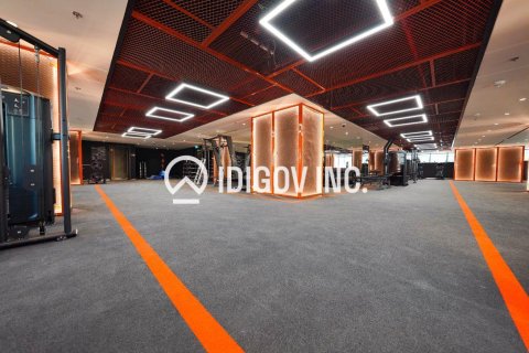 Квартира с 1 спальней в Jumeirah Village Triangle, ОАЭ №136305 3