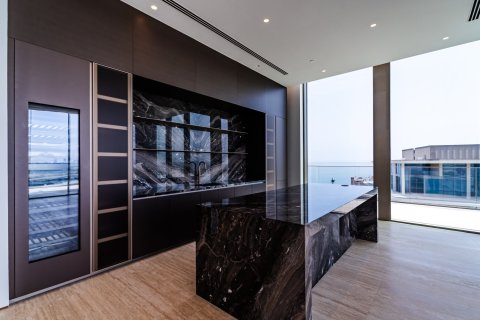 5 bedrooms Penthouse in Palm Jumeirah, UAE No. 183489 16