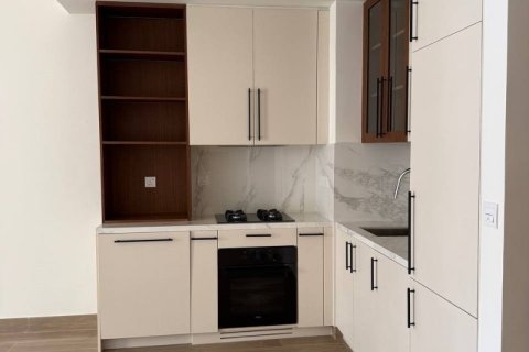 Квартира с 1 спальней в Дубай, ОАЭ №162706 15
