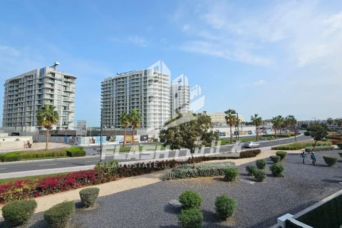 1 bedroom Apartment in Mina Al Arab, UAE No. 88325 2