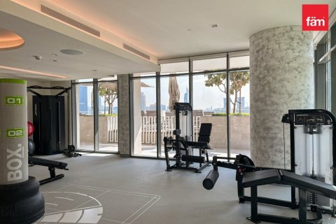 Квартира с 1 спальней  №120469 20