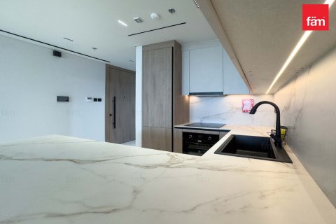 Квартира с 1 спальней  №120474 13