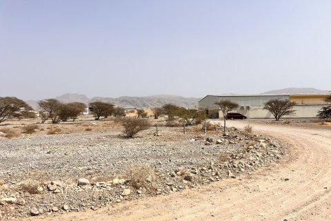 Land de 929m² en Al Qusaidat, UAE No. 172082 4