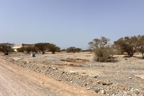 Land de 929m² en Al Qusaidat, UAE No. 172082 13