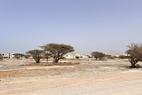 Land de 929m² en Al Qusaidat, UAE No. 172082 5
