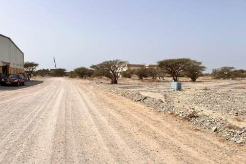Land de 929m² en Al Qusaidat, UAE No. 172082 10