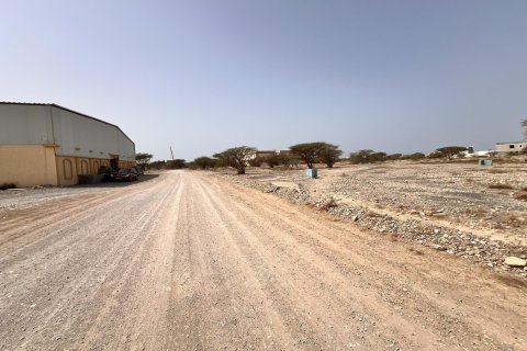 Land de 929m² en Al Qusaidat, UAE No. 172082 9