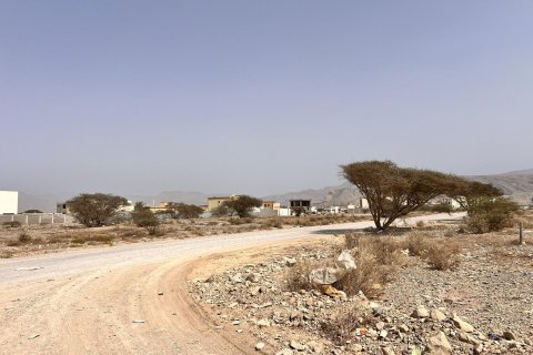 929m² Land in Al Qusaidat, UAE No. 172082