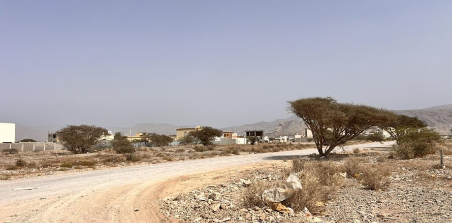 Land de 929m² en Al Qusaidat, UAE No. 172082