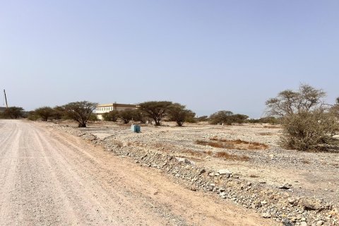 Land de 929m² en Al Qusaidat, UAE No. 172082 12