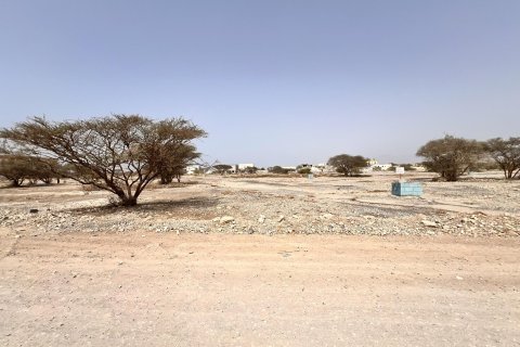 Land de 929m² en Al Qusaidat, UAE No. 172082 7