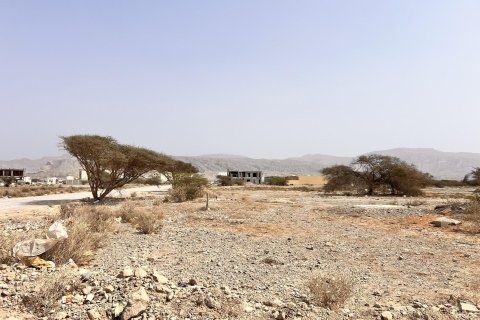Land de 929m² en Al Qusaidat, UAE No. 172082 3