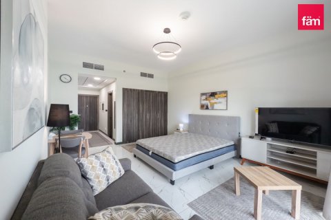 Studio Apartment in Dubai, UAE No. 169836