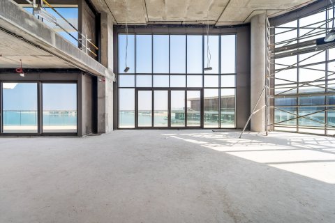 3 bedrooms Penthouse in Palm Jumeirah, UAE No. 183468 11