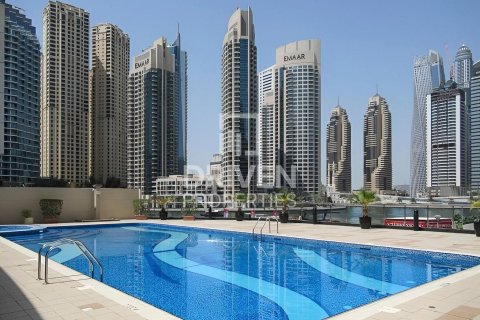 استوديو شقة في Marina View, الإمارات العربية المتحدة رقم 191315 15