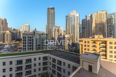 Appartement de 1 chambre à DEC Towers, UAE No. 206572 13