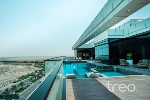 2 bedrooms Apartment in Dubai South (Dubai World Central), UAE No. 183192 28