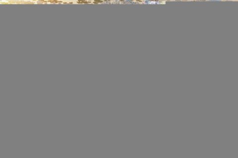 2 bedrooms Townhouse in Ras Al Khaimah, UAE No. 184161 9