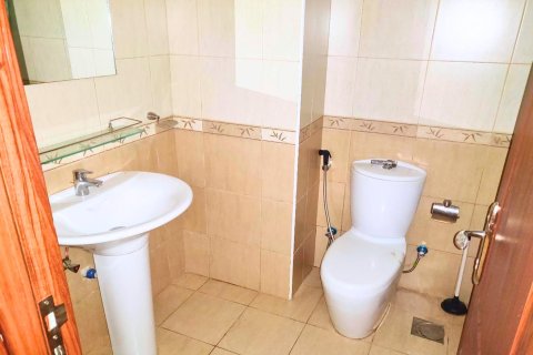 استوديو شقة في District 15, الإمارات العربية المتحدة رقم 203651 6