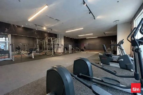 44.3m² Apartment in Dubai, UAE No. 170117 10