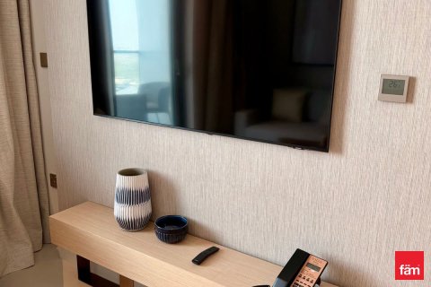 Apartment de 1 dormitorio en Downtown Dubai (Downtown Burj Dubai), UAE No. 163117 6
