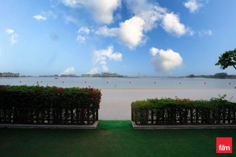 5 غرفة نوم  فيلا في نخلة جميرا, الإمارات العربية المتحدة رقم 147866 19