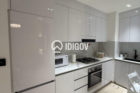 1 bedroom Apartment in District 15, UAE No. 184612 5