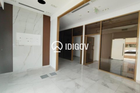132مربع، محل تجاري في District 10, الإمارات العربية المتحدة رقم 148475 11