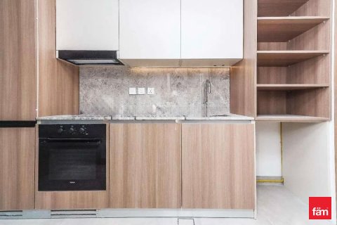 Studio Apartment in Dubai, UAE No. 169805