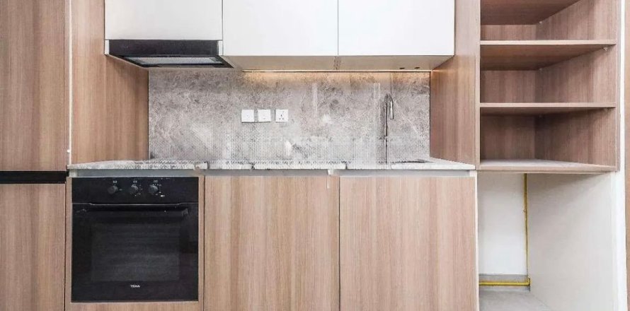 Studio Apartment in Dubai, UAE No. 169805