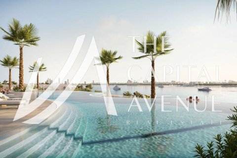 2 bedrooms Apartment in Al Hudayriat Island, UAE No. 136892 4