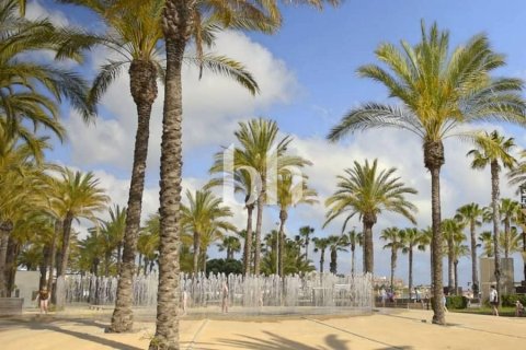 Villa de 4 chambres  No. 113112 21