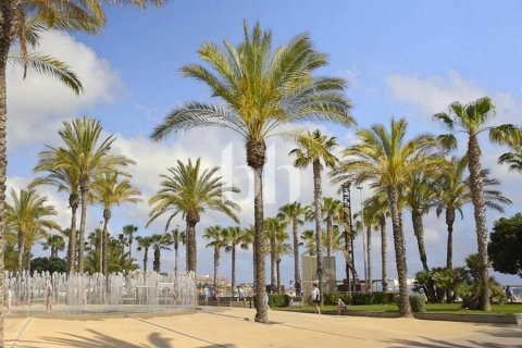 Вилла с 5 спальнями  №113113 18